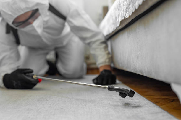 Professional Pest Control technician working in Smyrna, DE