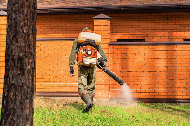 Trusted Ant Control service in Smyrna, DE - Nex Pest Control